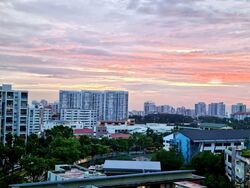 Blk 451B West Terra @ Bukit Batok (Bukit Batok), HDB 5 Rooms #565952241